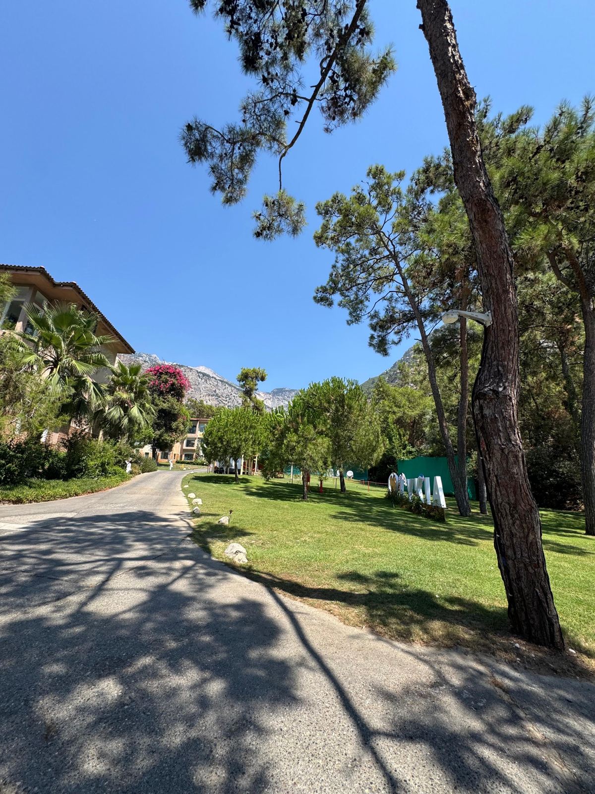 Çam ağaçları arasında kıvrılan yerleşke yolu ve yeşil alan, arkada dağlar