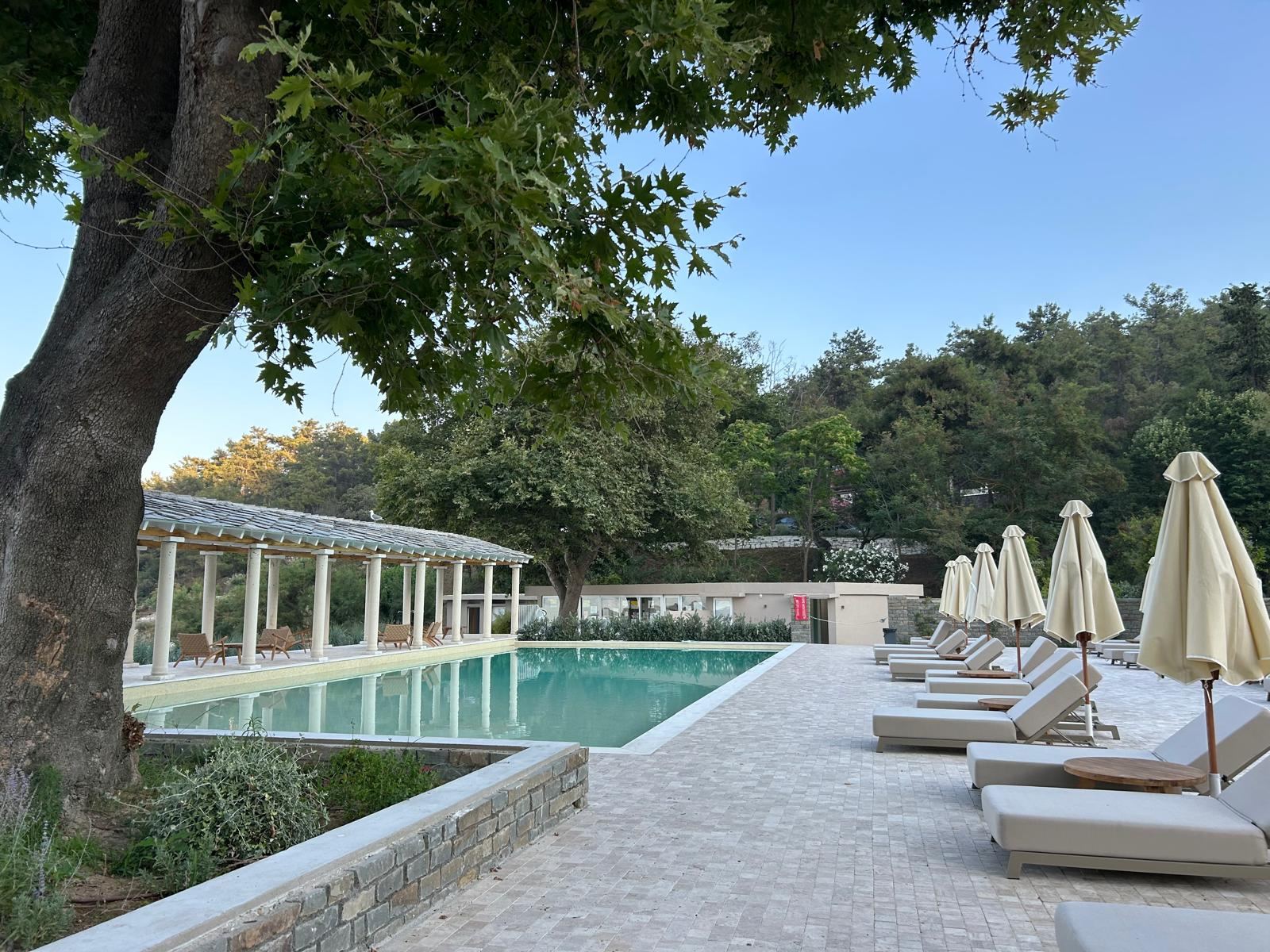 Çınar ağacının altında sütunlu pergola, yeşil tonlu havuz ve krem şemsiyeli şezlonglar