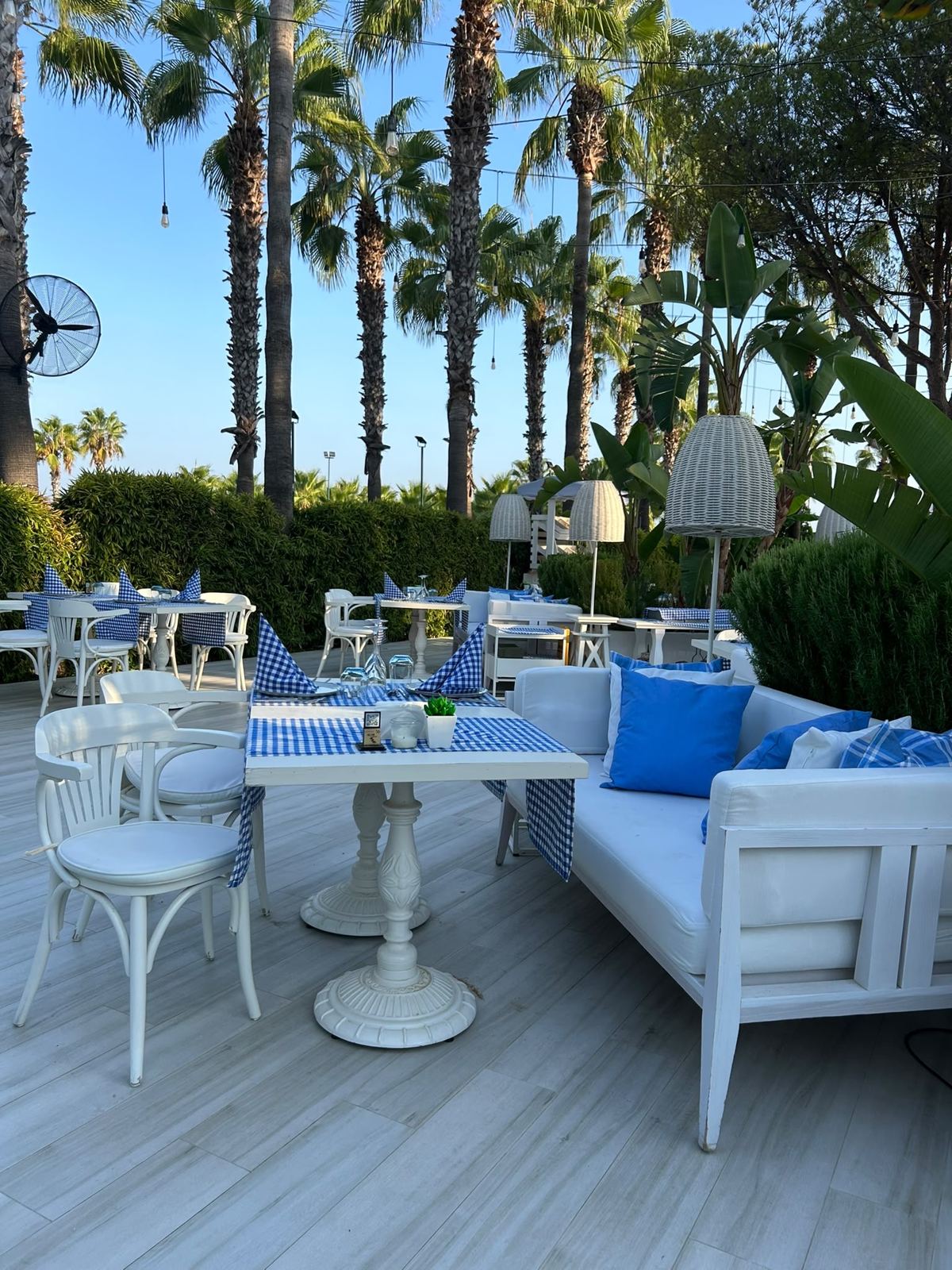 Beyaz mobilyalı, mavi kareli örtülü açık hava restoran terası ve palmiyeler