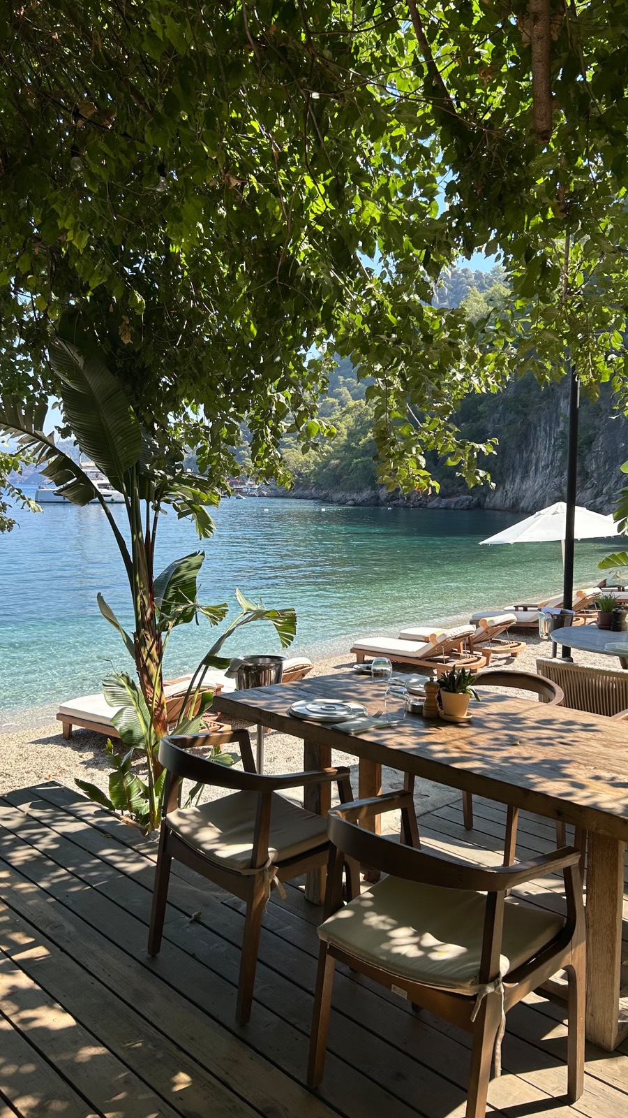 Yazz Collective'te ağaçların gölgesinde, çakıl plajın ve turkuaz koyun hemen kıyısında ahşap restoran masası